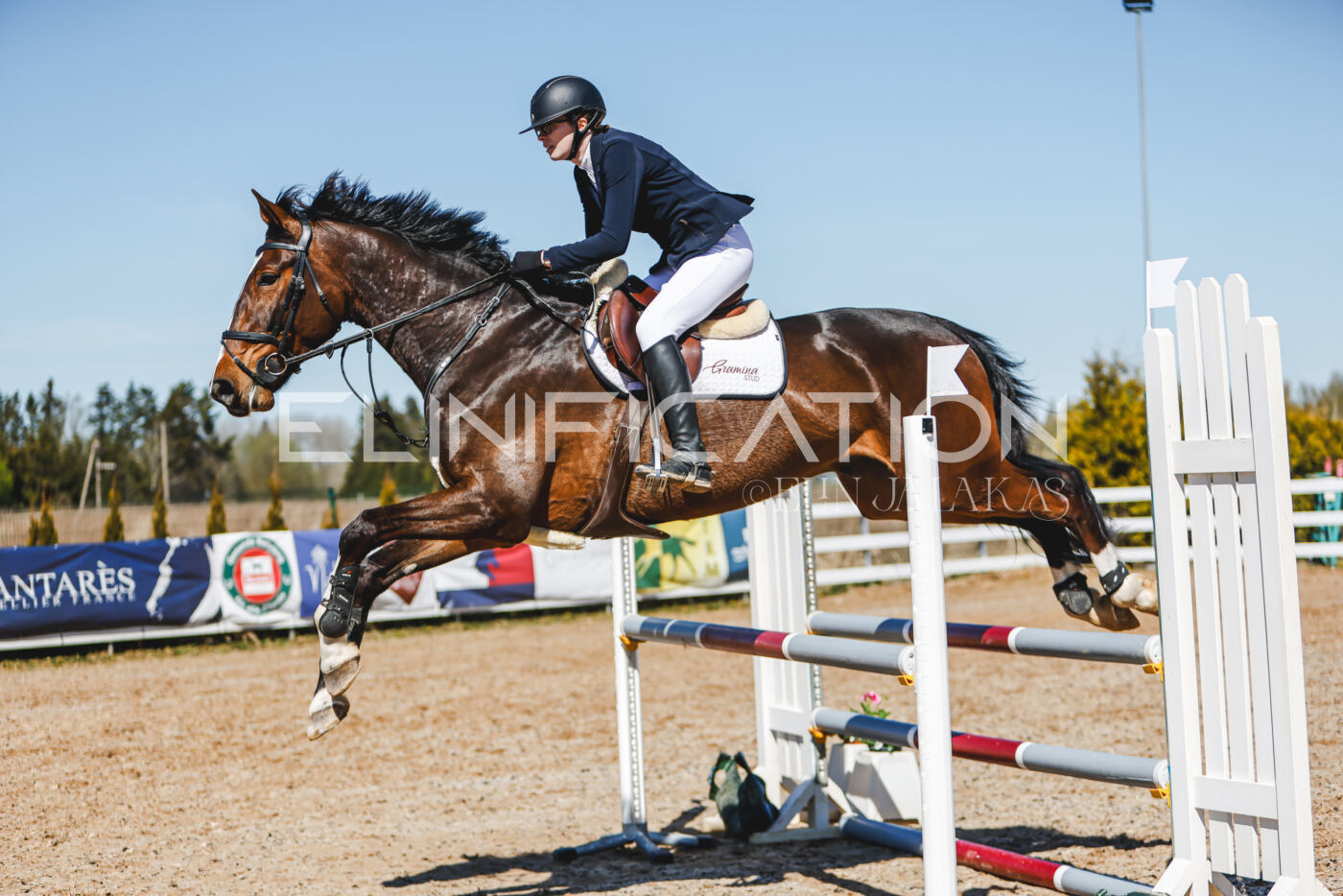Gramina_Volber_2026_100_0364