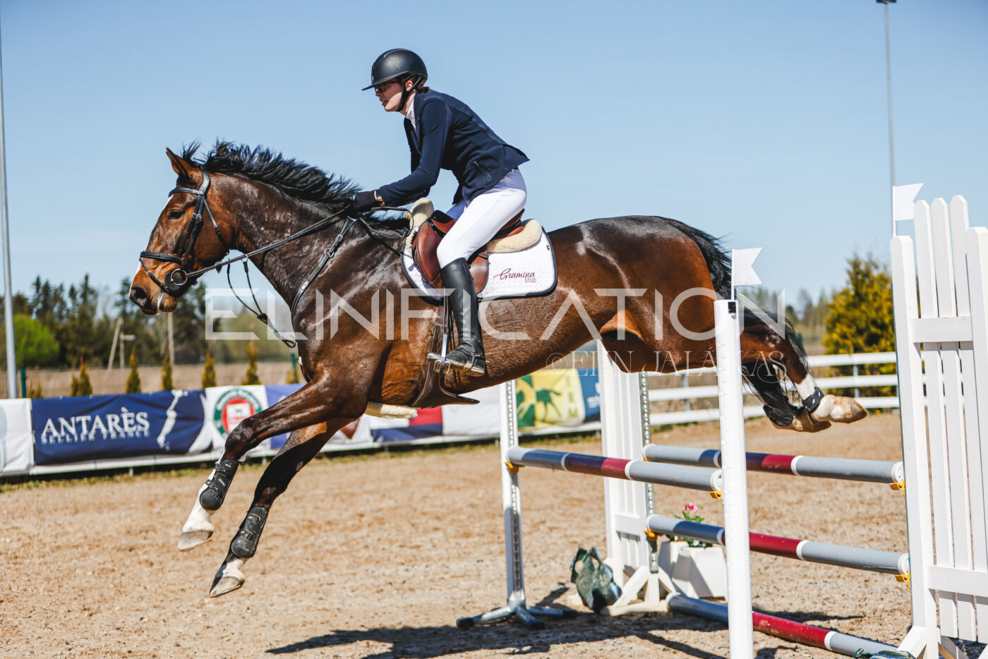 Gramina_Volber_2026_100_0365