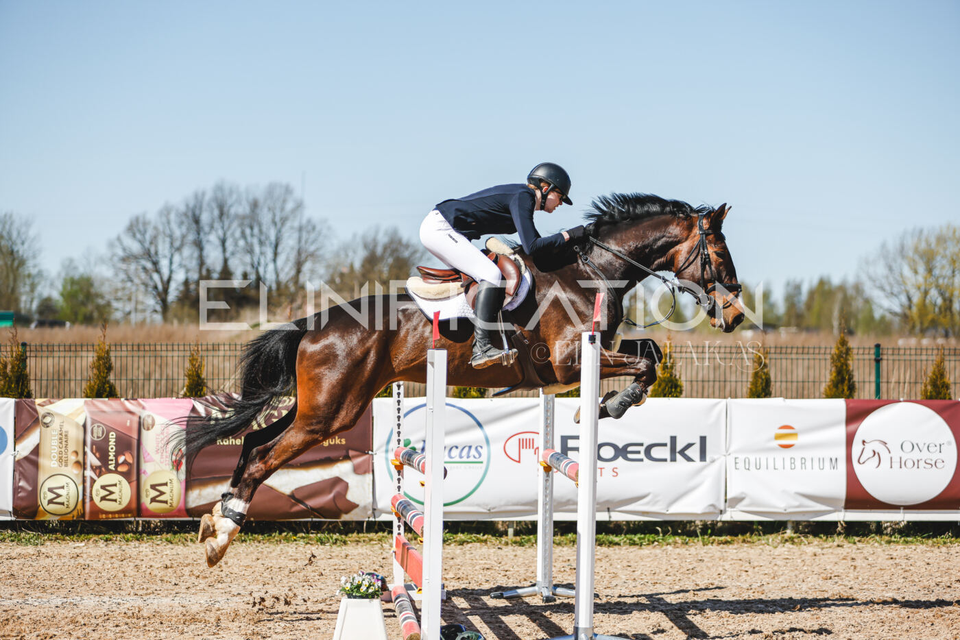 Gramina_Volber_2026_100_0371
