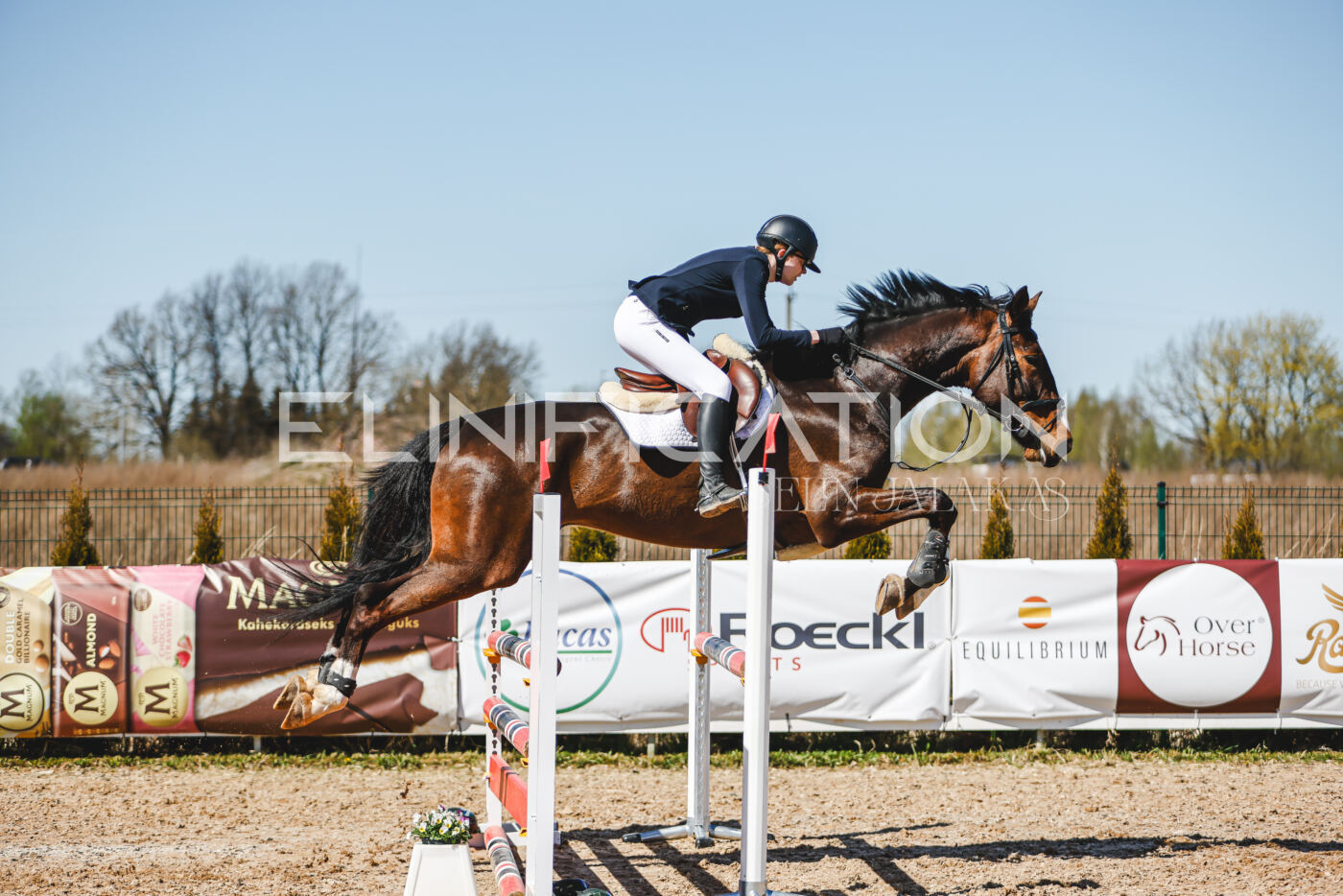 Gramina_Volber_2026_100_0372