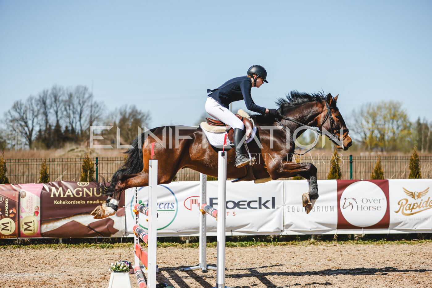 Gramina_Volber_2026_100_0373