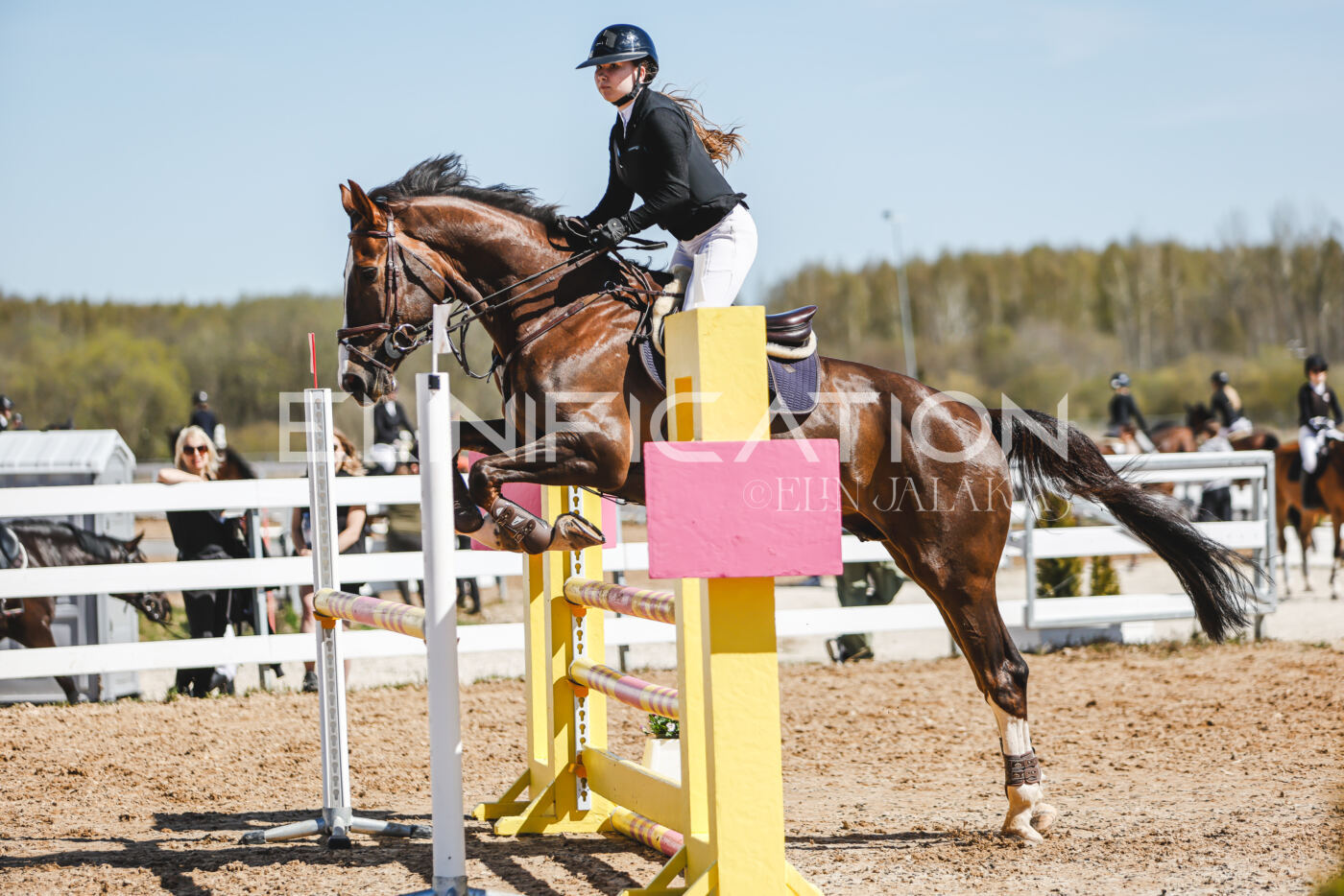 Gramina_Volber_2026_100_0380