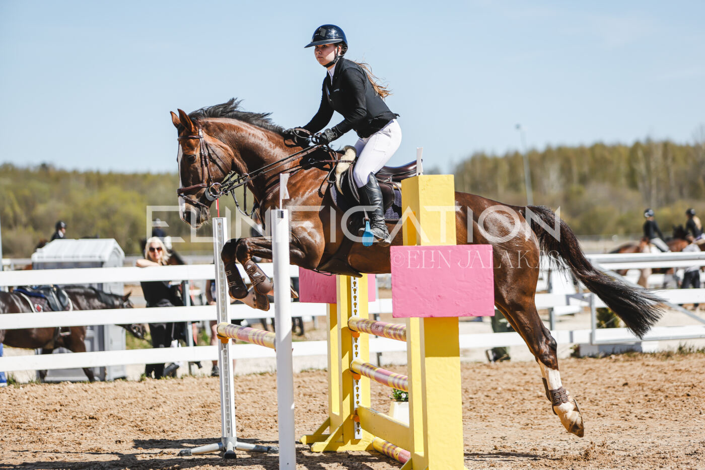 Gramina_Volber_2026_100_0381