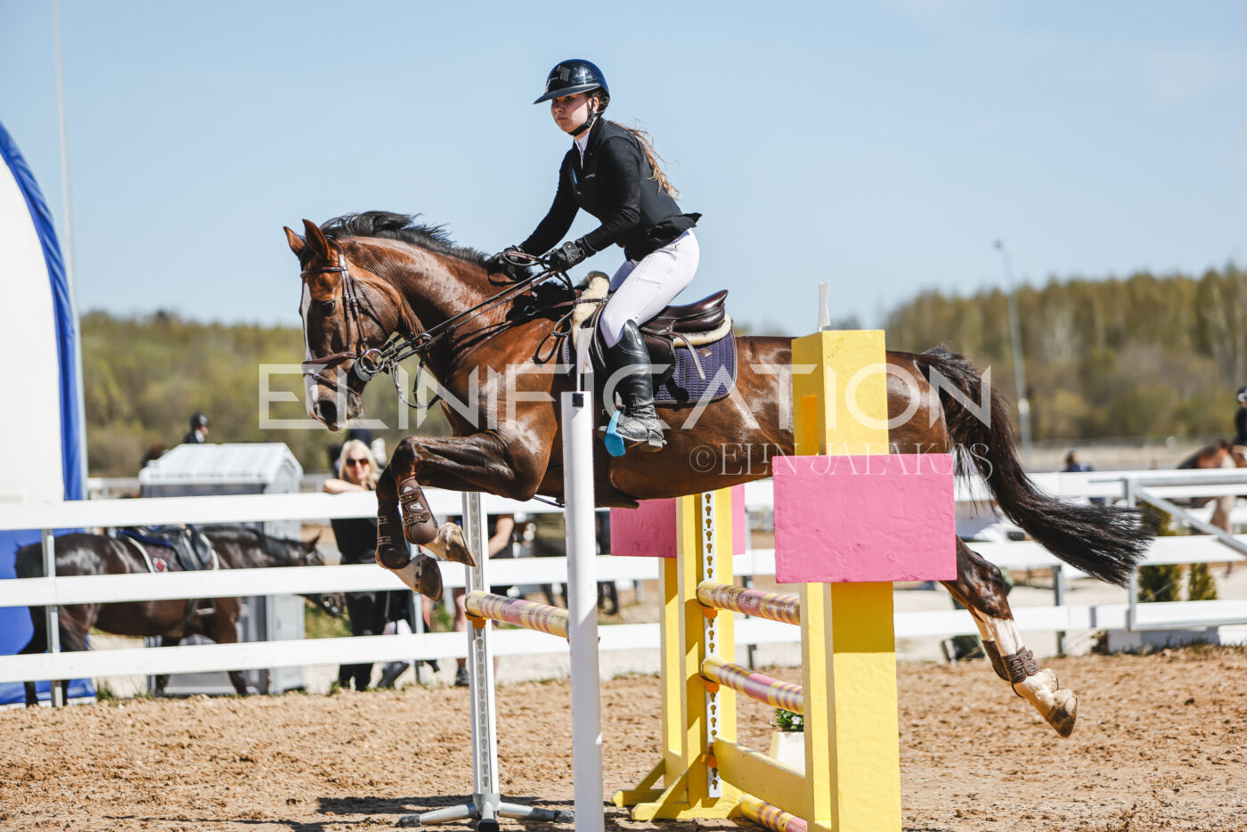 Gramina_Volber_2026_100_0382