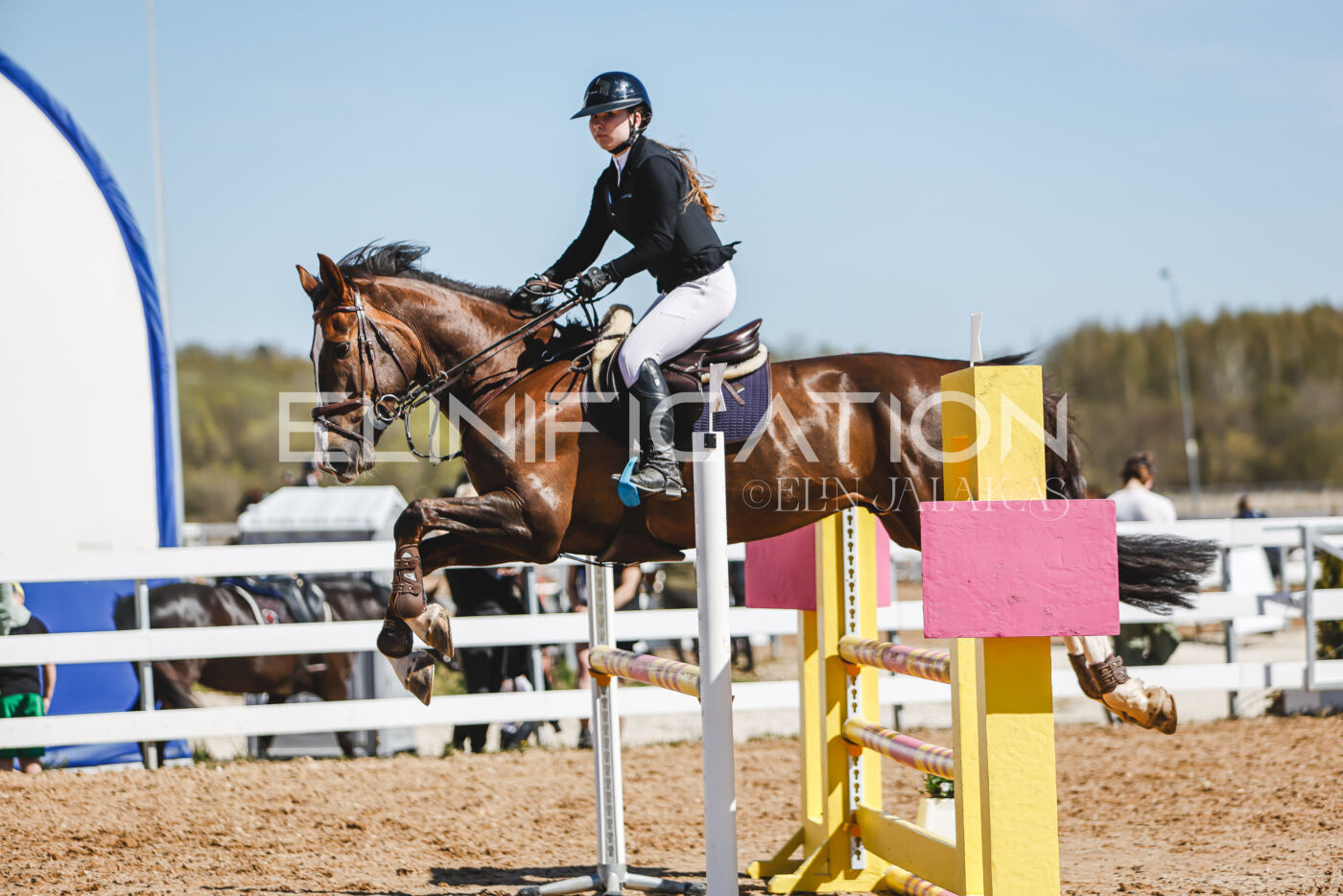 Gramina_Volber_2026_100_0383