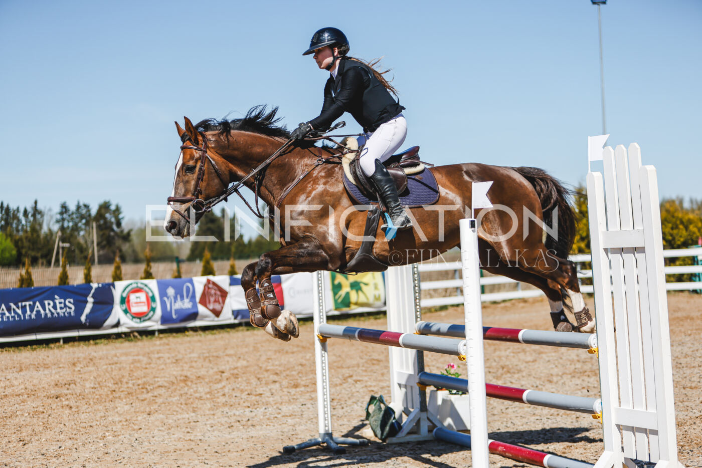 Gramina_Volber_2026_100_0392