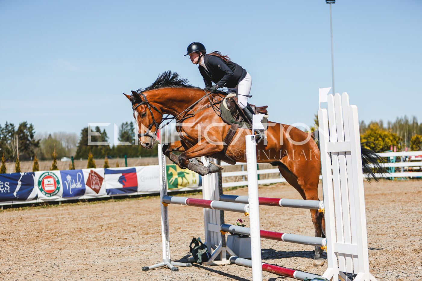 Gramina_Volber_2026_100_0420