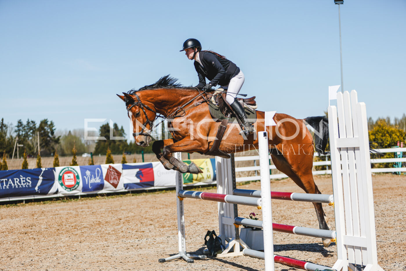 Gramina_Volber_2026_100_0421