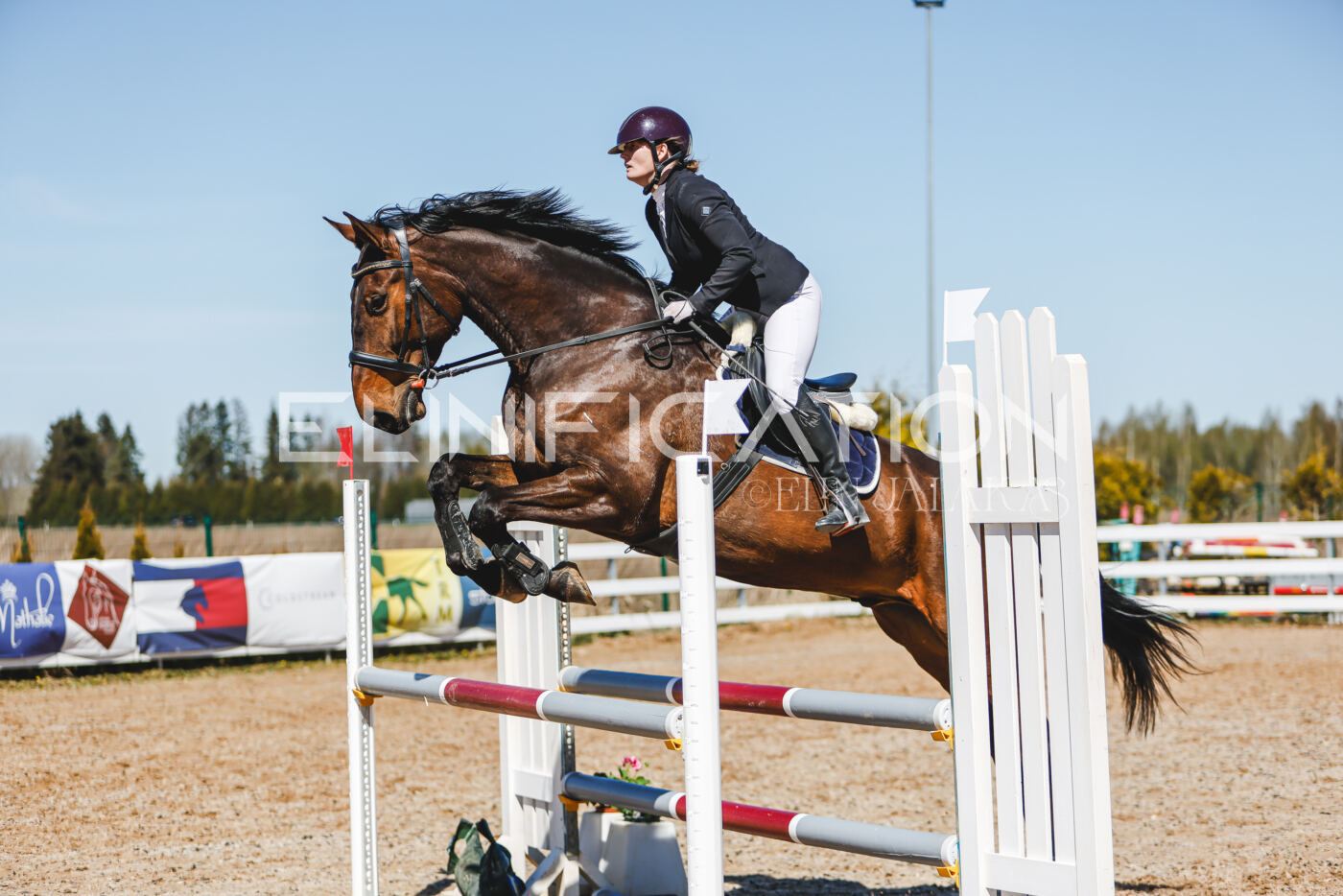 Gramina_Volber_2026_100_0450