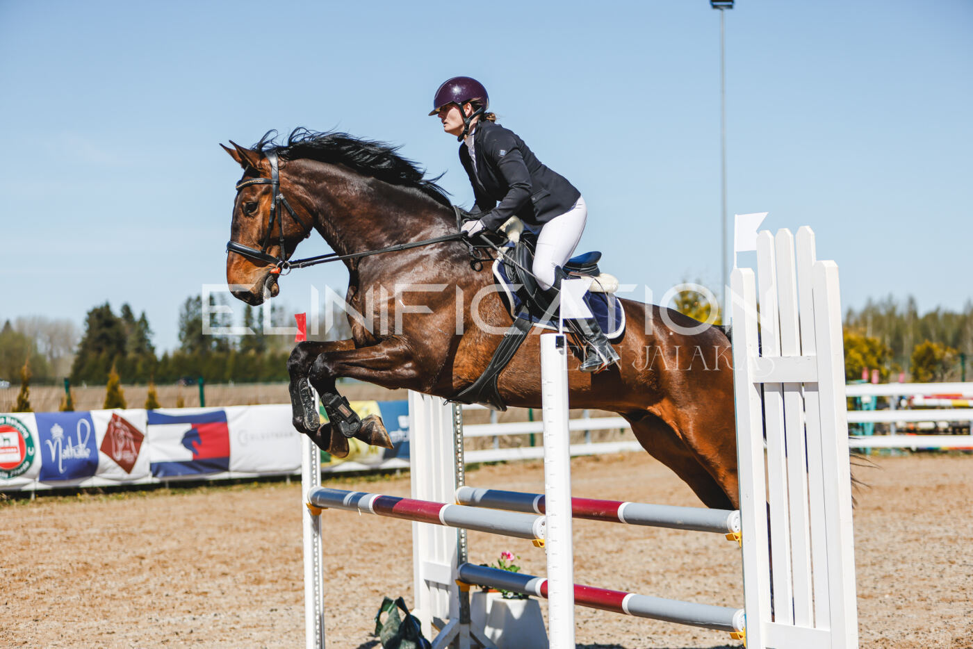 Gramina_Volber_2026_100_0451