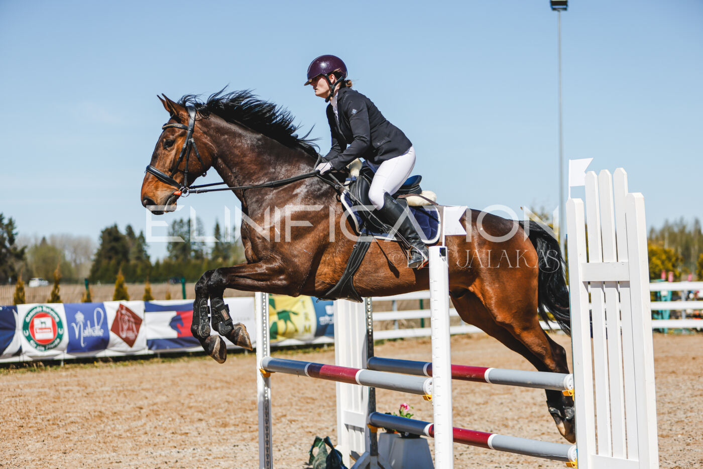 Gramina_Volber_2026_100_0452