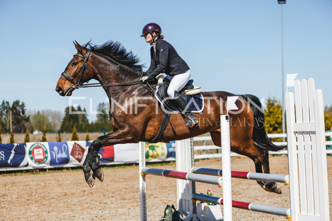 Gramina_Volber_2026_100_0453