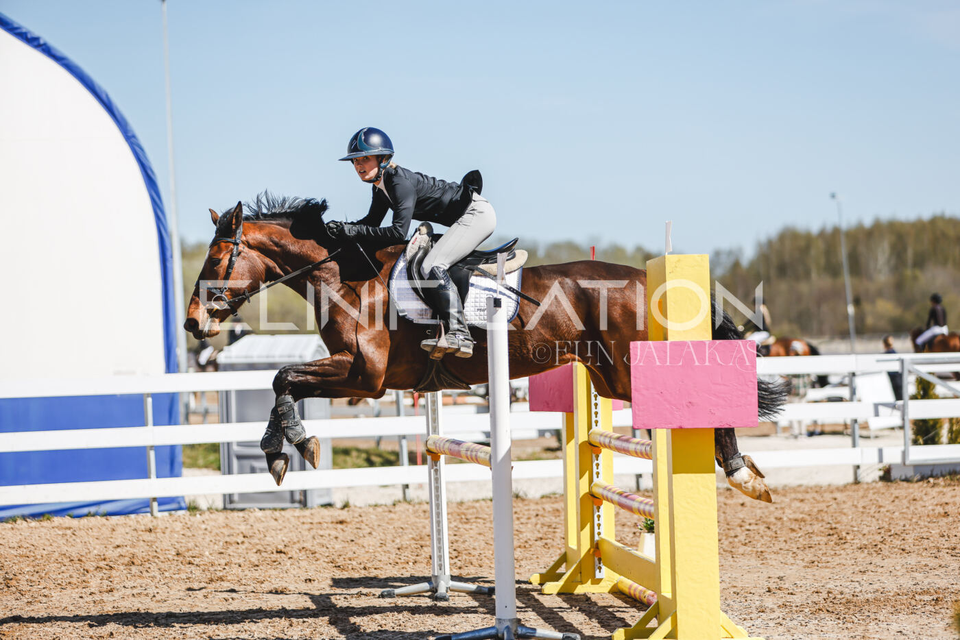 Gramina_Volber_2026_100_0465