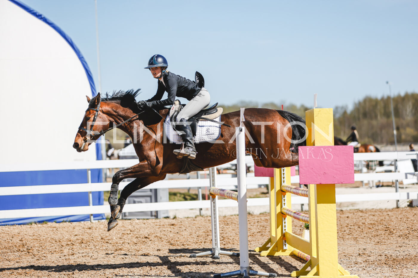 Gramina_Volber_2026_100_0466