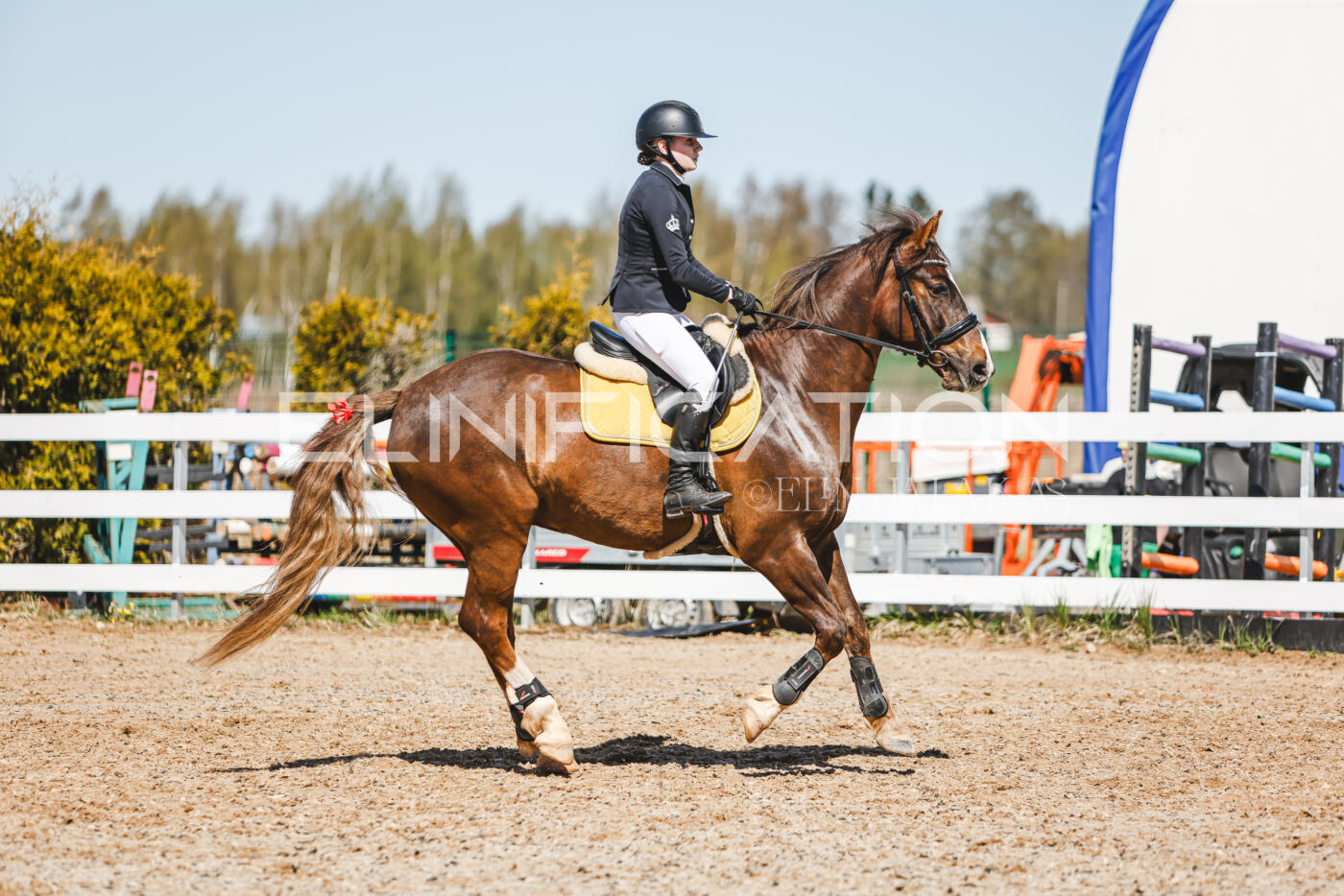Gramina_Volber_2026_100_0467