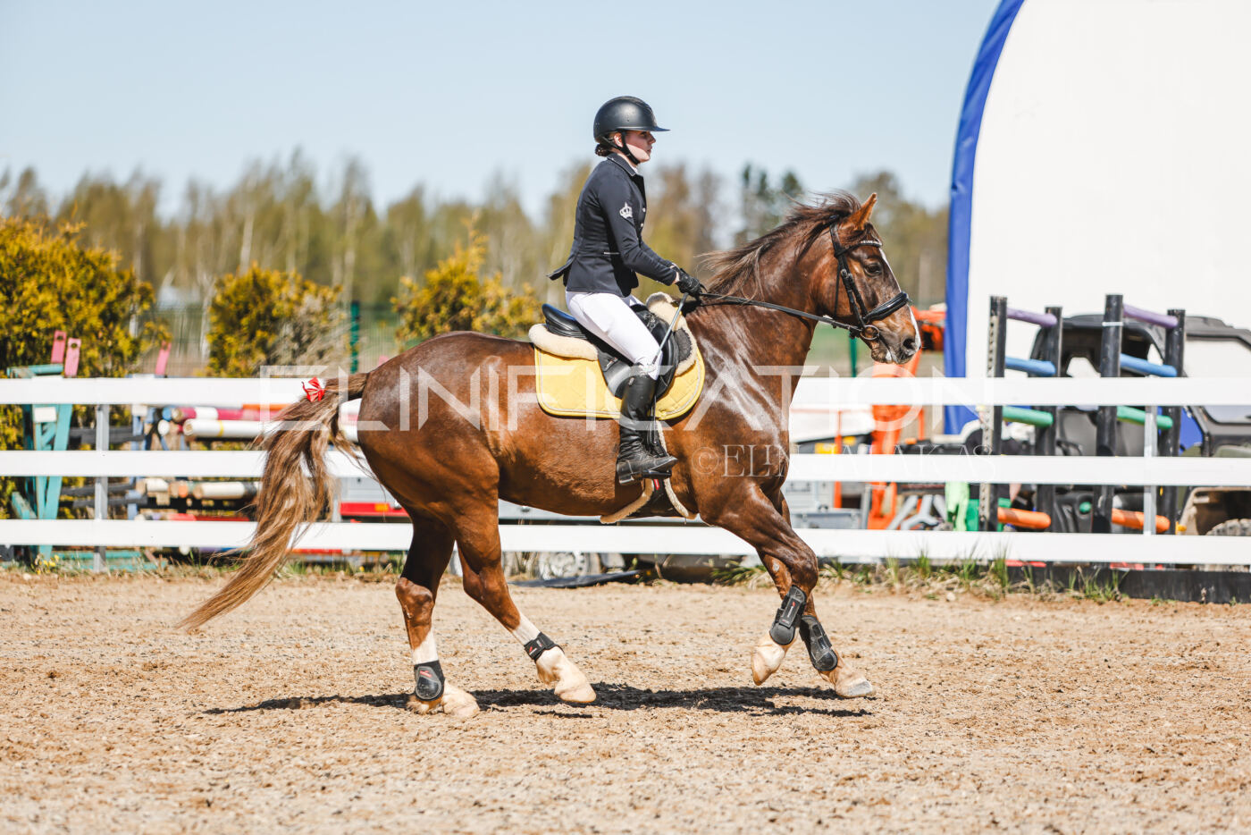 Gramina_Volber_2026_100_0468