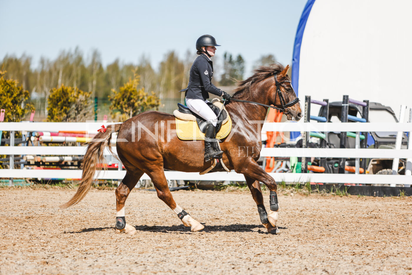 Gramina_Volber_2026_100_0469