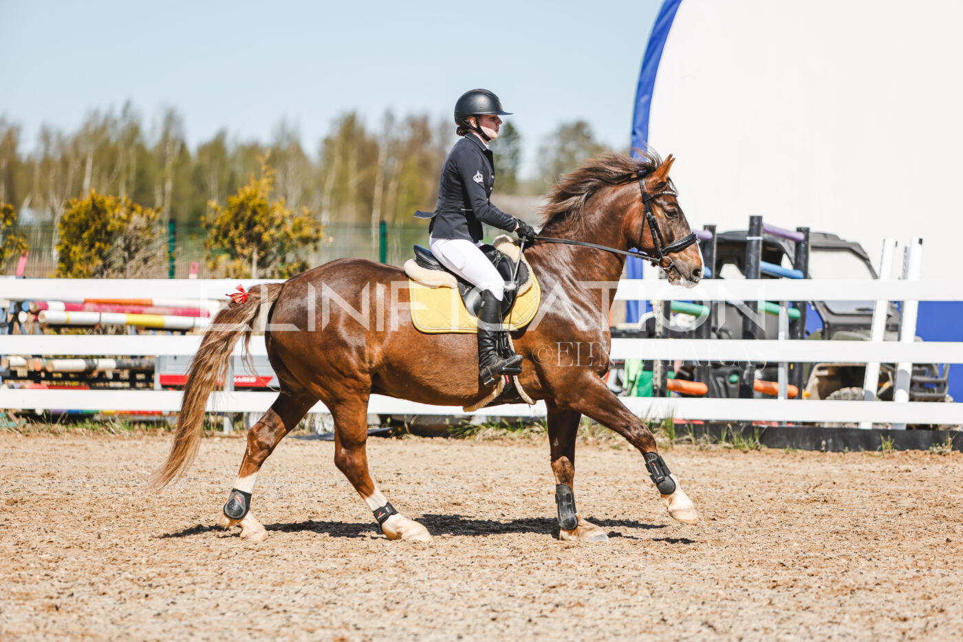 Gramina_Volber_2026_100_0470