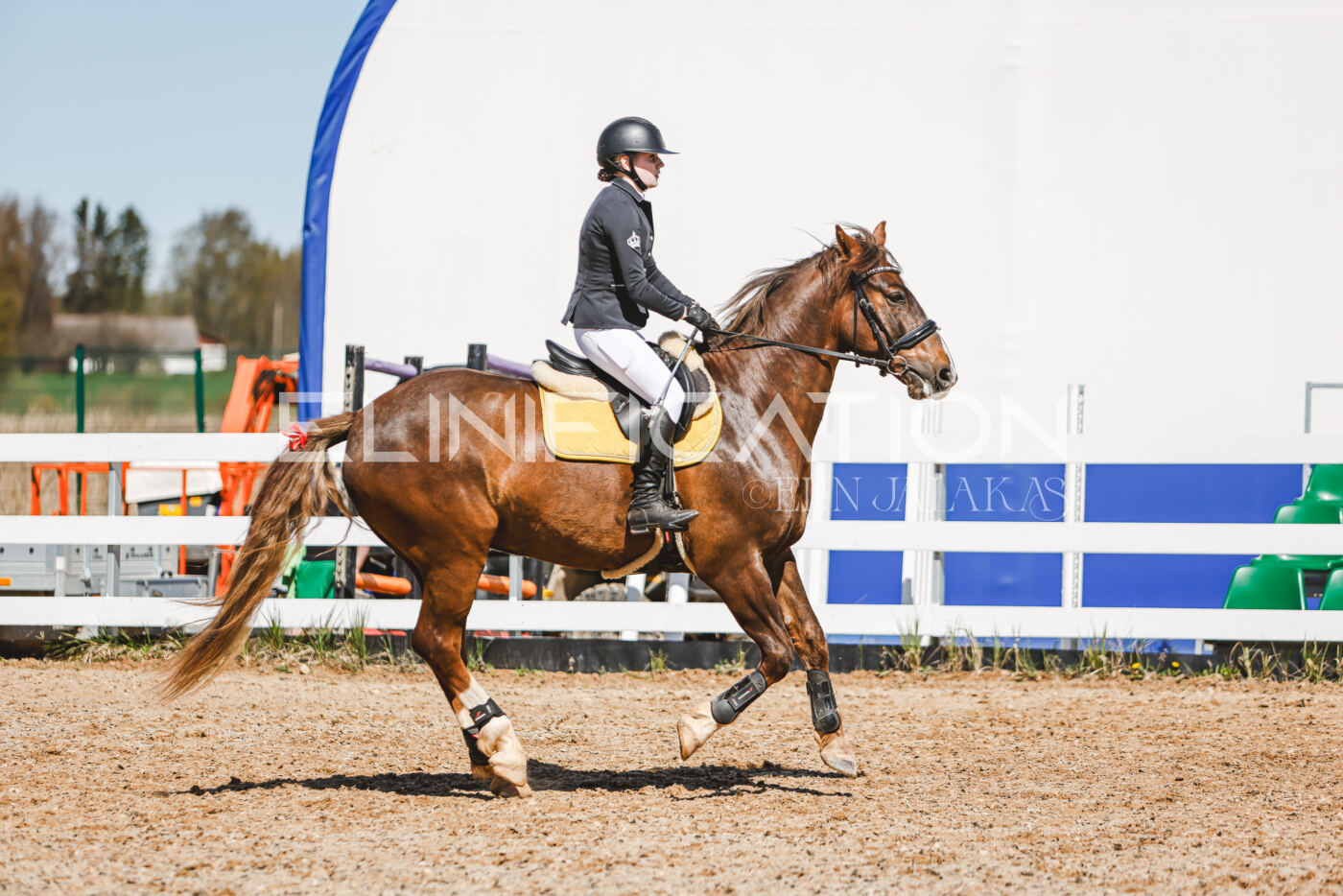 Gramina_Volber_2026_100_0471