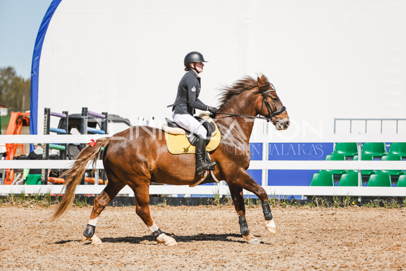 Gramina_Volber_2026_100_0474