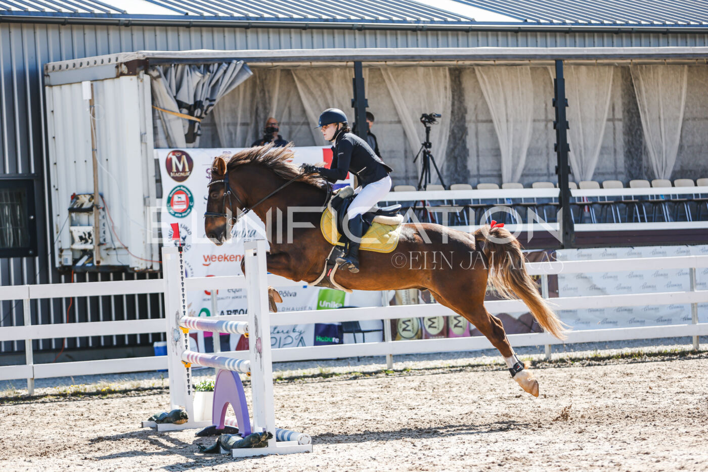 Gramina_Volber_2026_100_0476