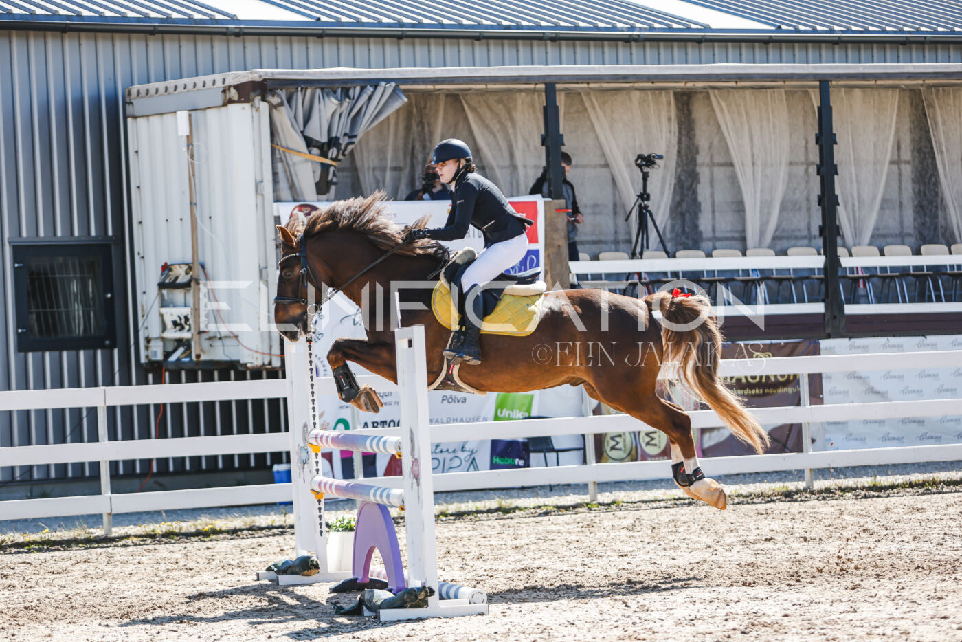 Gramina_Volber_2026_100_0477