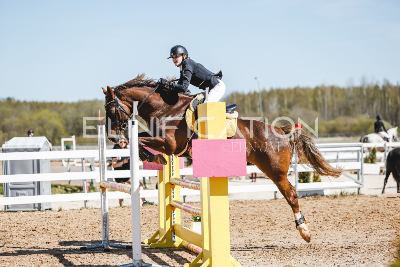 Gramina_Volber_2026_100_0481