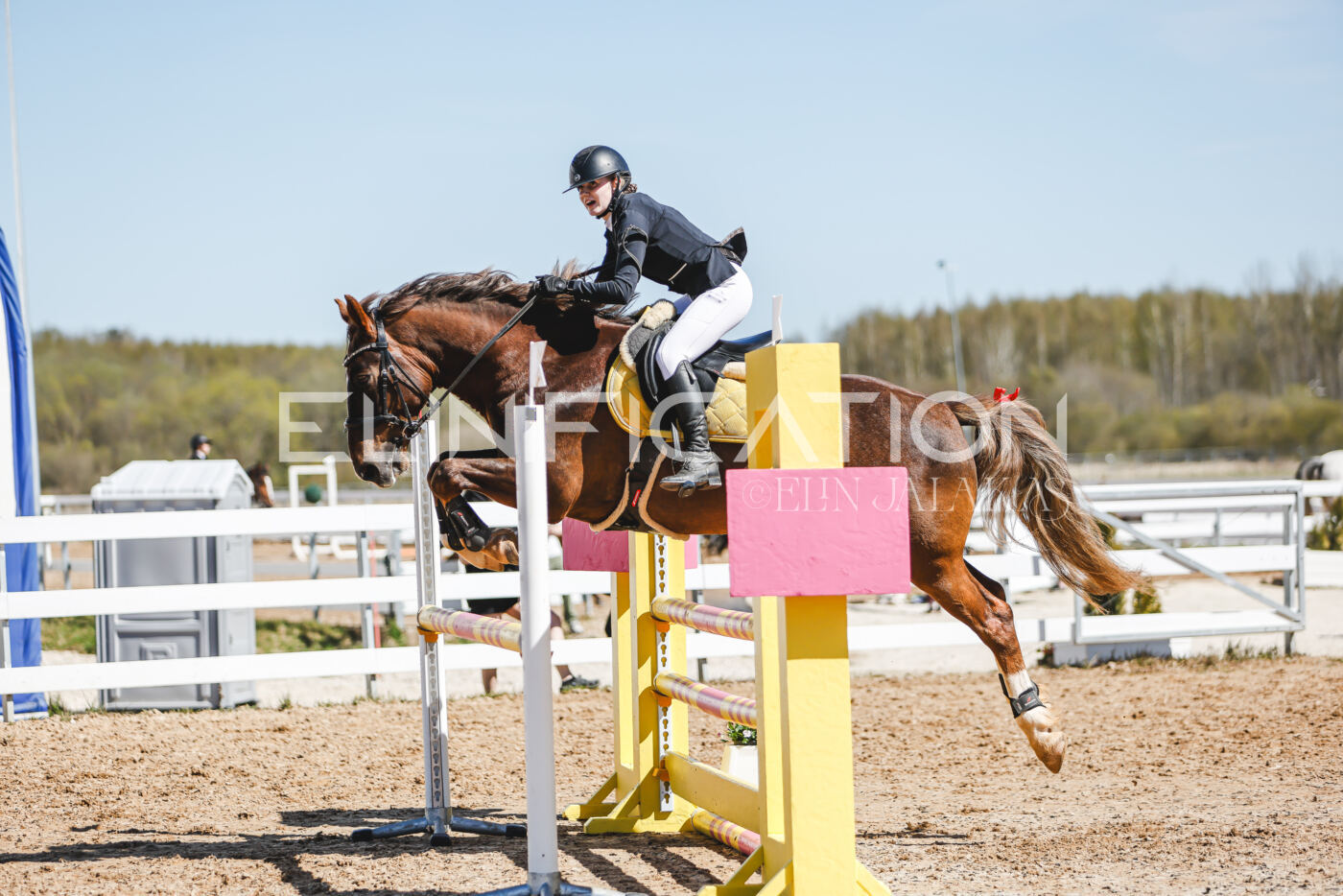 Gramina_Volber_2026_100_0482