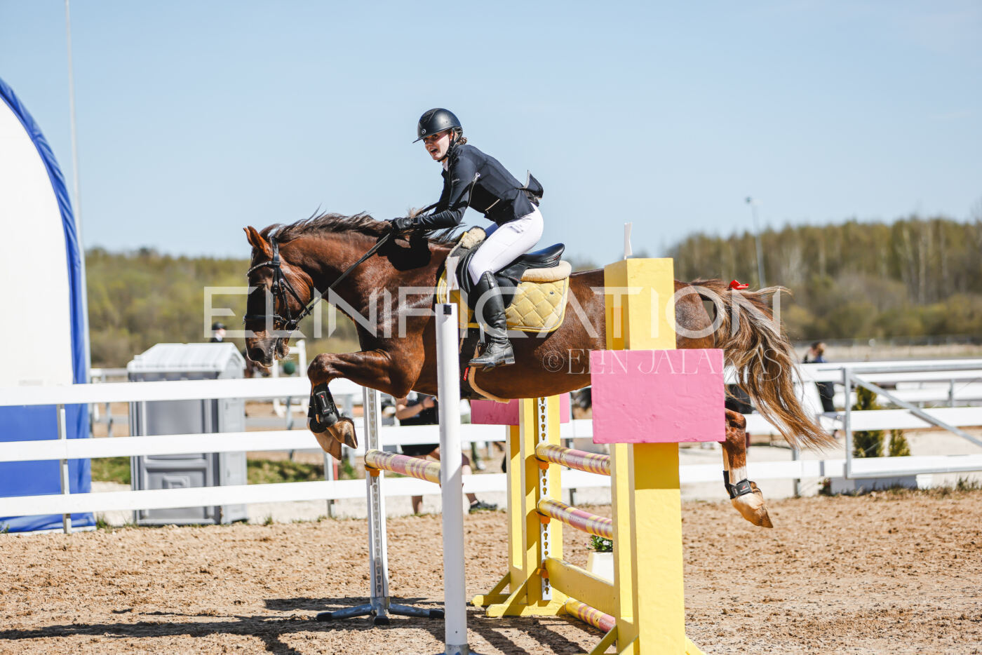Gramina_Volber_2026_100_0483