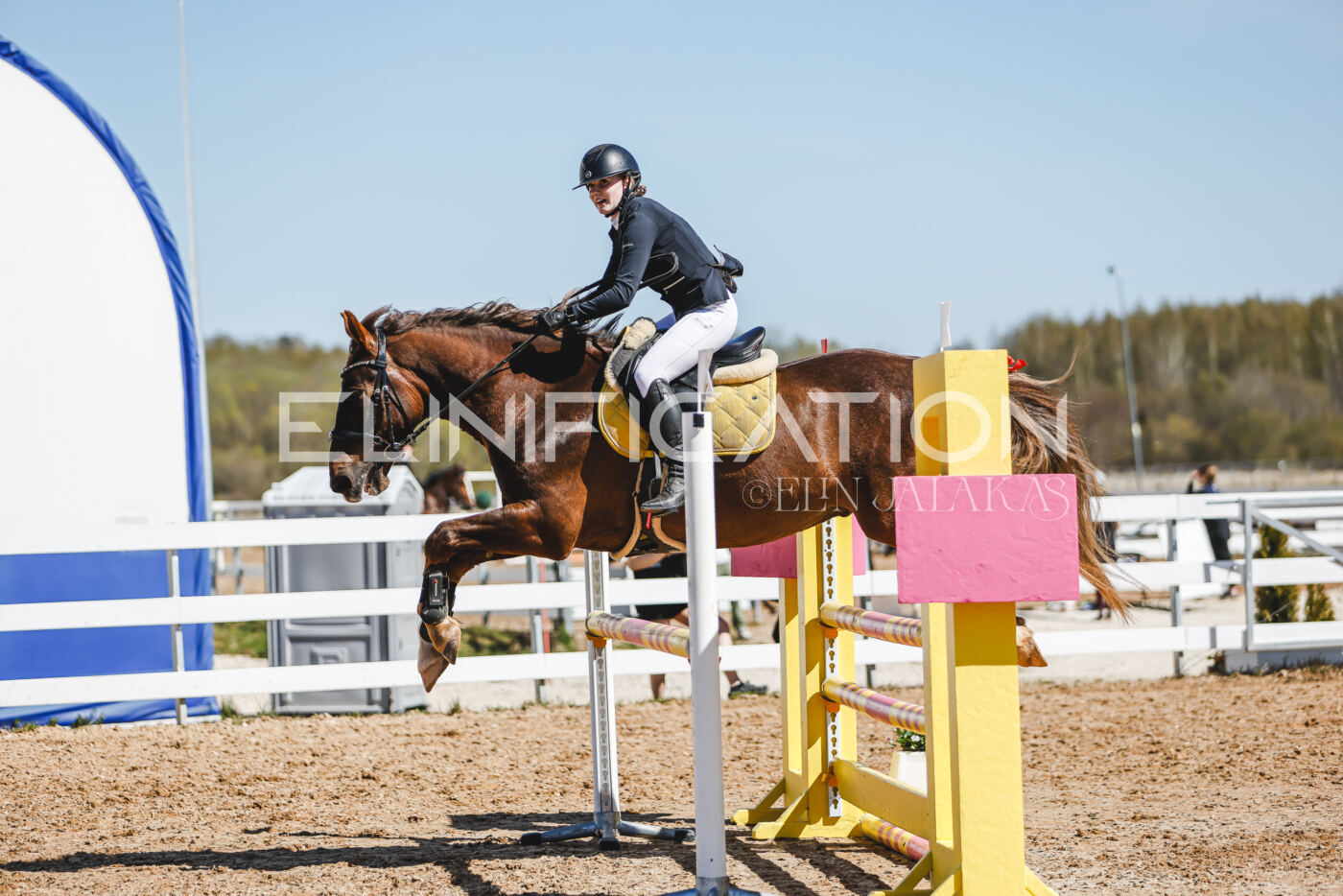 Gramina_Volber_2026_100_0484