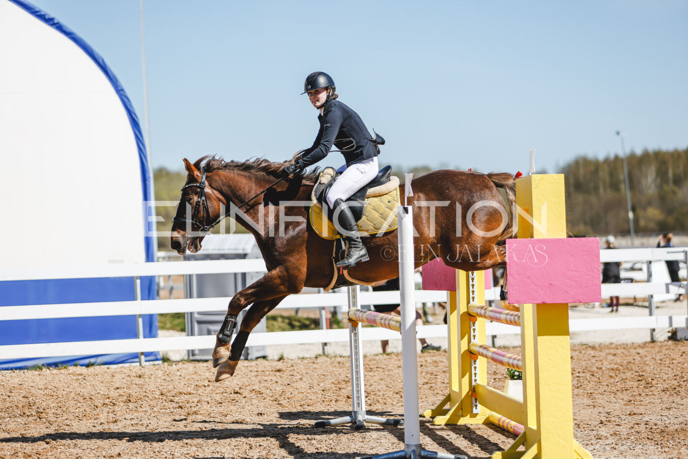 Gramina_Volber_2026_100_0485
