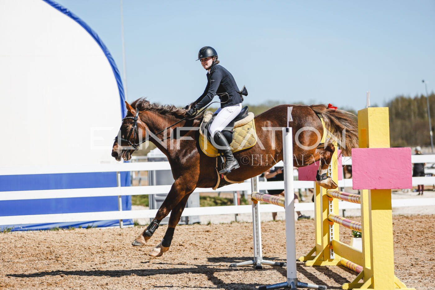 Gramina_Volber_2026_100_0486
