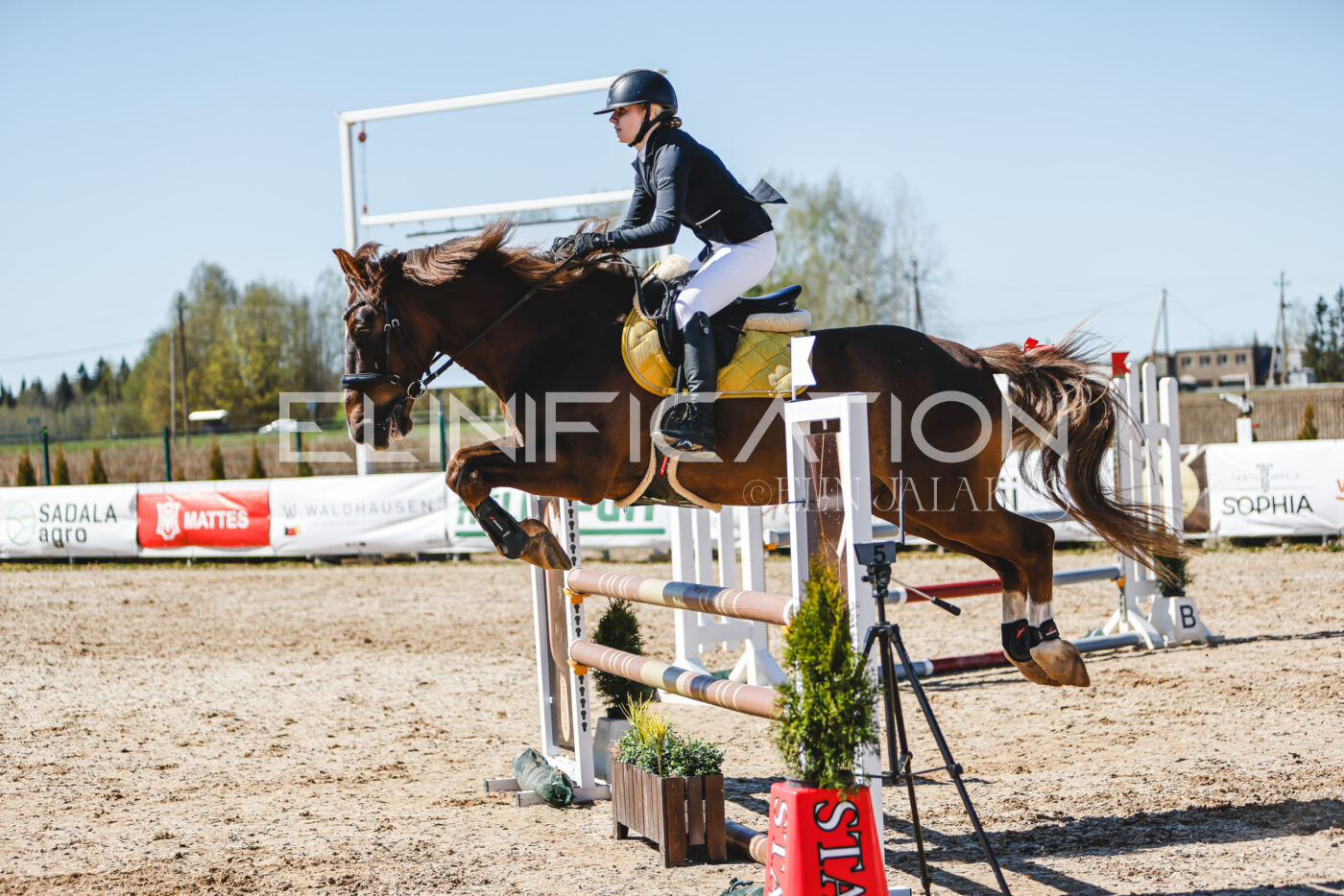 Gramina_Volber_2026_100_0489