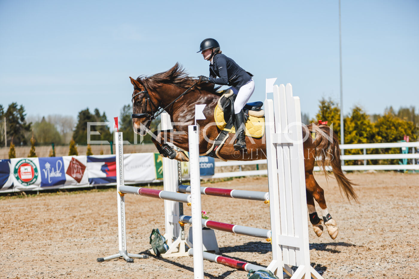 Gramina_Volber_2026_100_0496