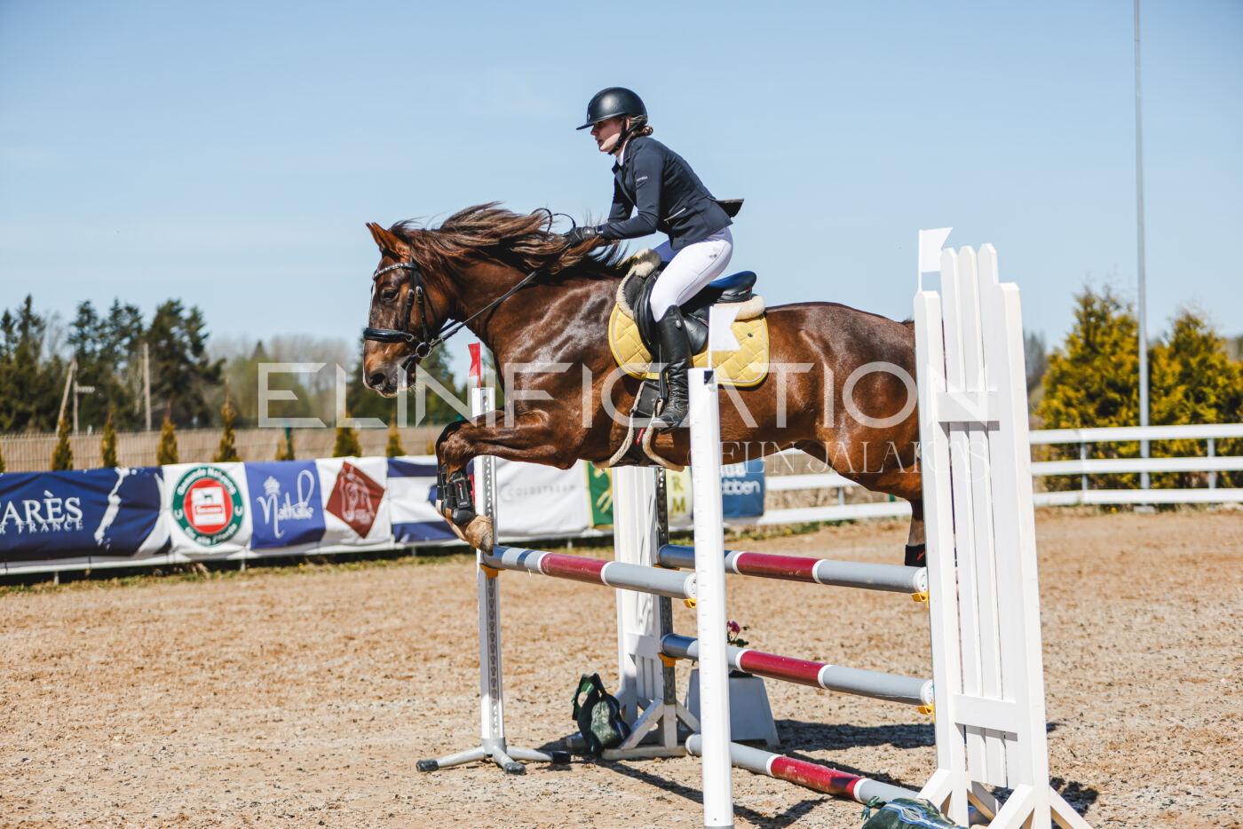 Gramina_Volber_2026_100_0498