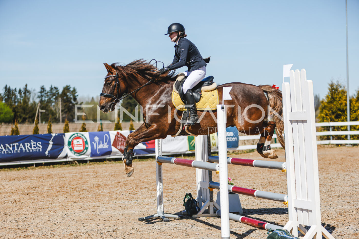 Gramina_Volber_2026_100_0499