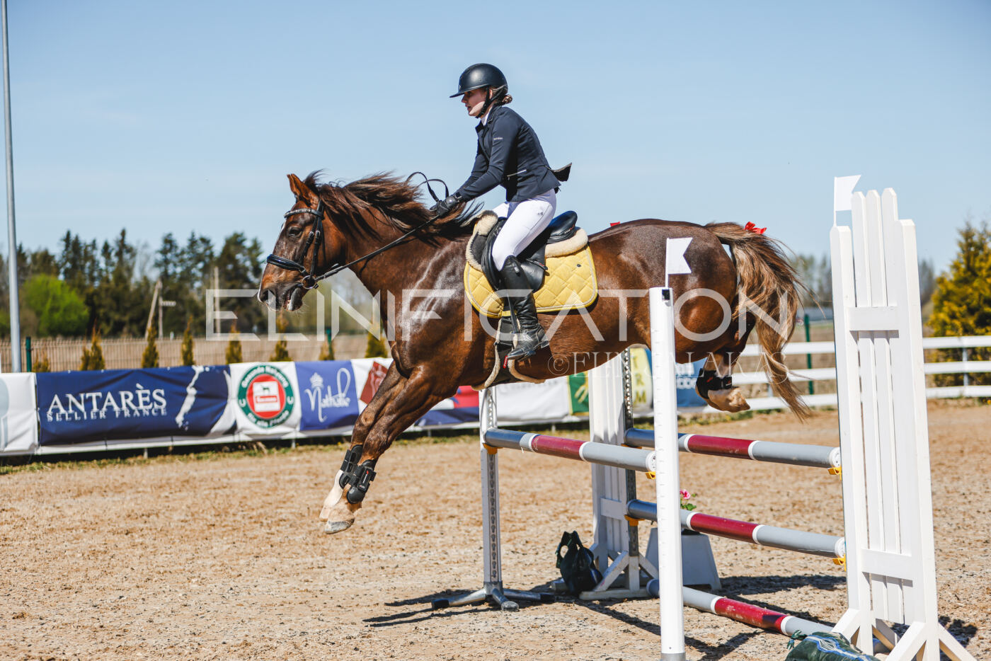 Gramina_Volber_2026_100_0500