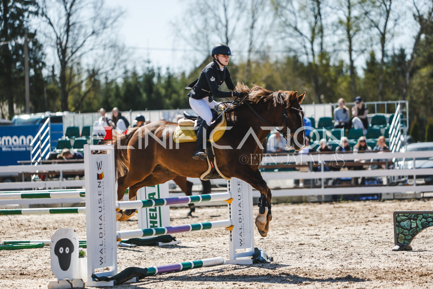 Gramina_Volber_2026_100_0501