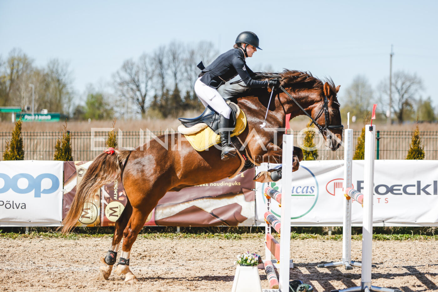 Gramina_Volber_2026_100_0502