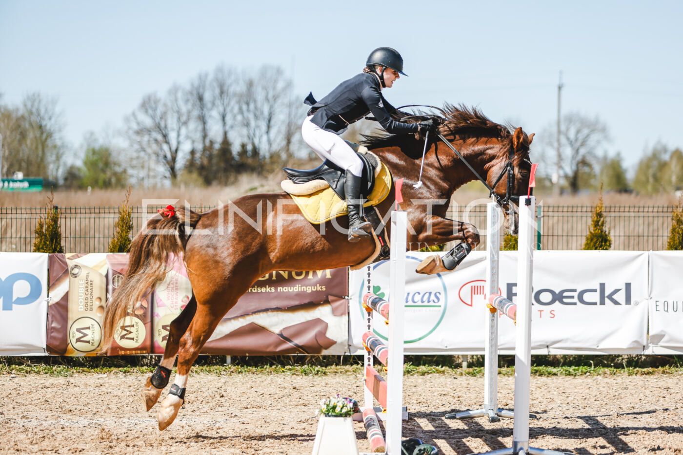 Gramina_Volber_2026_100_0503