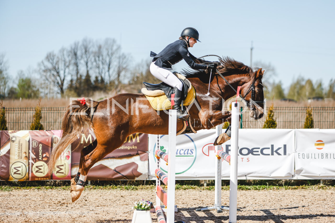 Gramina_Volber_2026_100_0504