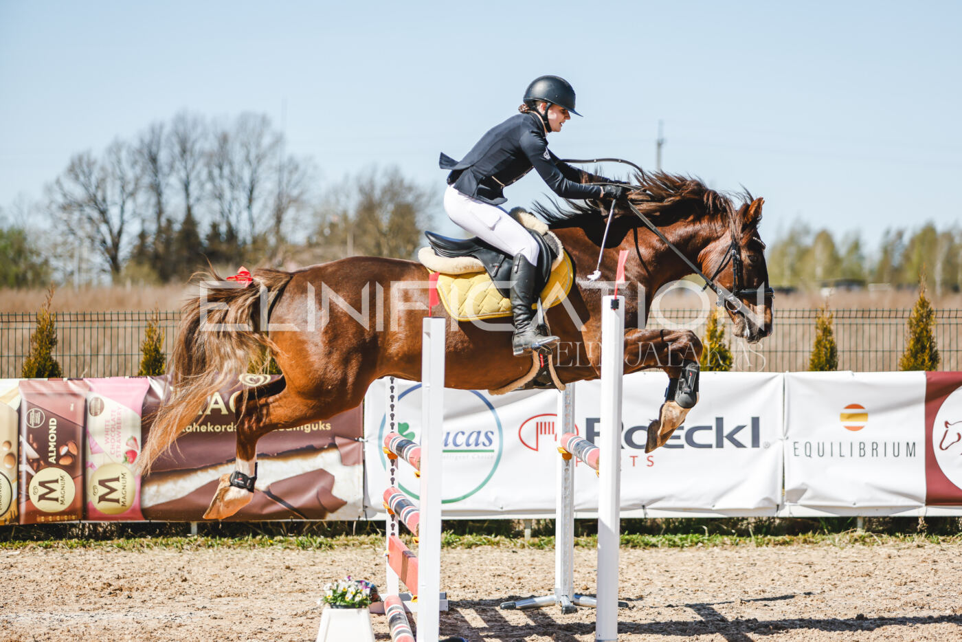 Gramina_Volber_2026_100_0505