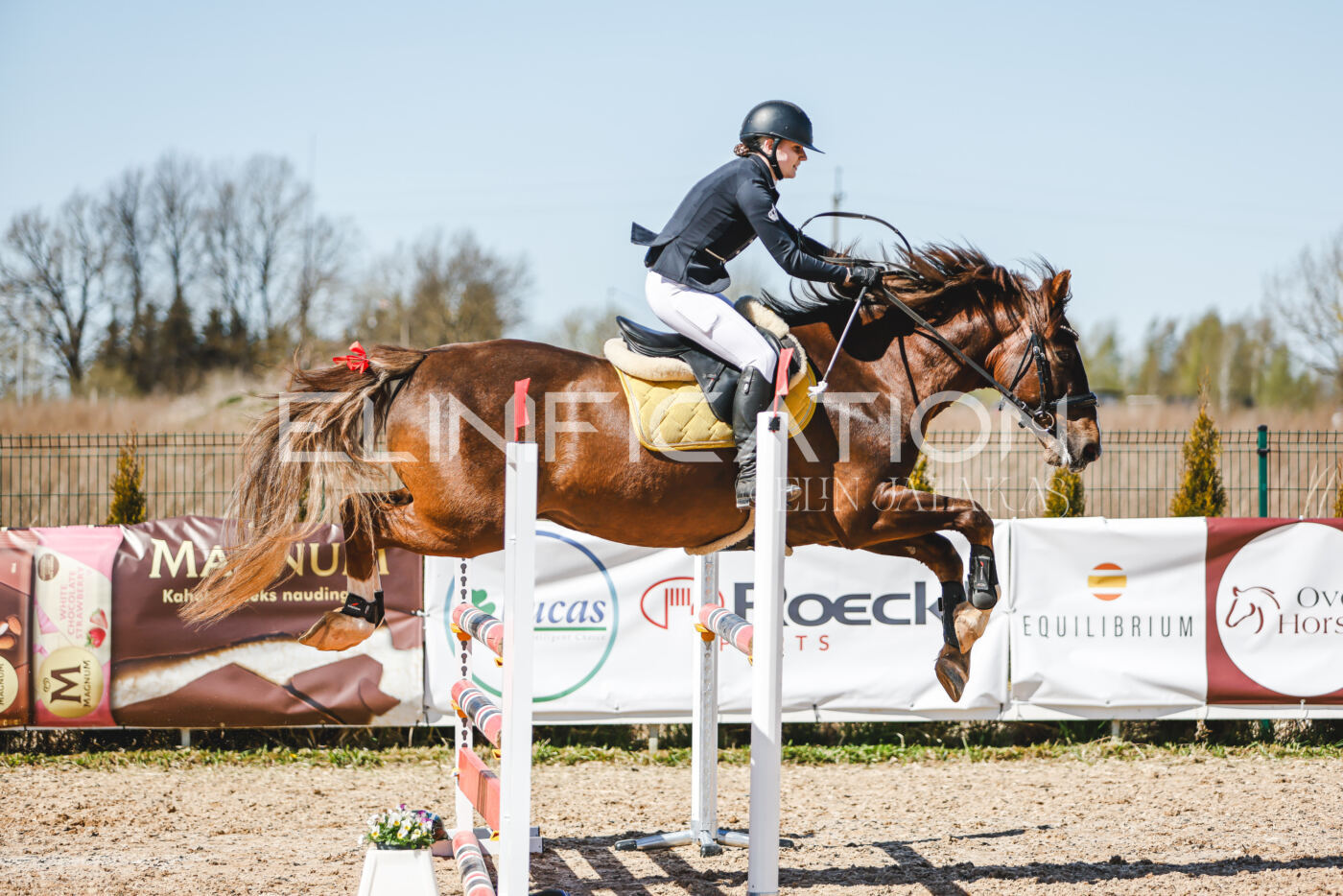 Gramina_Volber_2026_100_0506