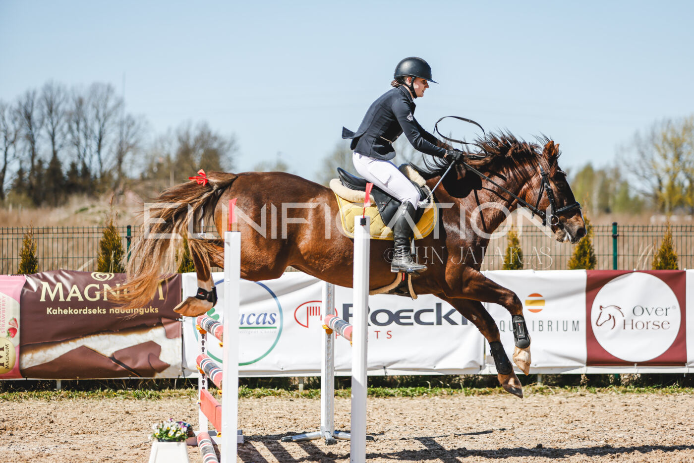 Gramina_Volber_2026_100_0507