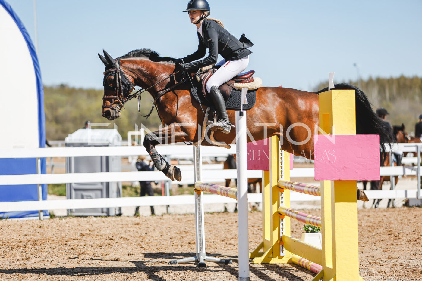 Gramina_Volber_2026_100_0515