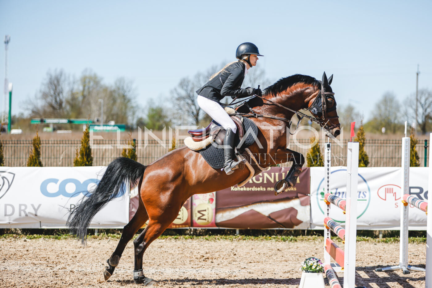 Gramina_Volber_2026_100_0536