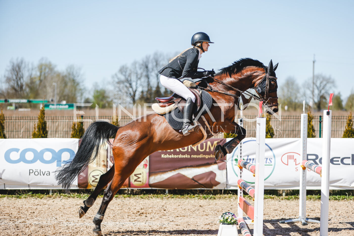 Gramina_Volber_2026_100_0537