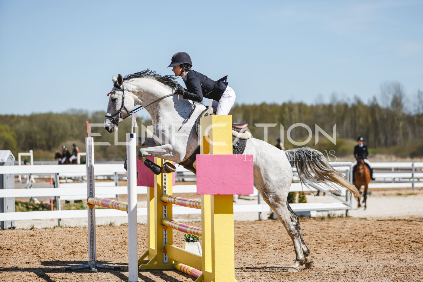 Gramina_Volber_2026_100_0550