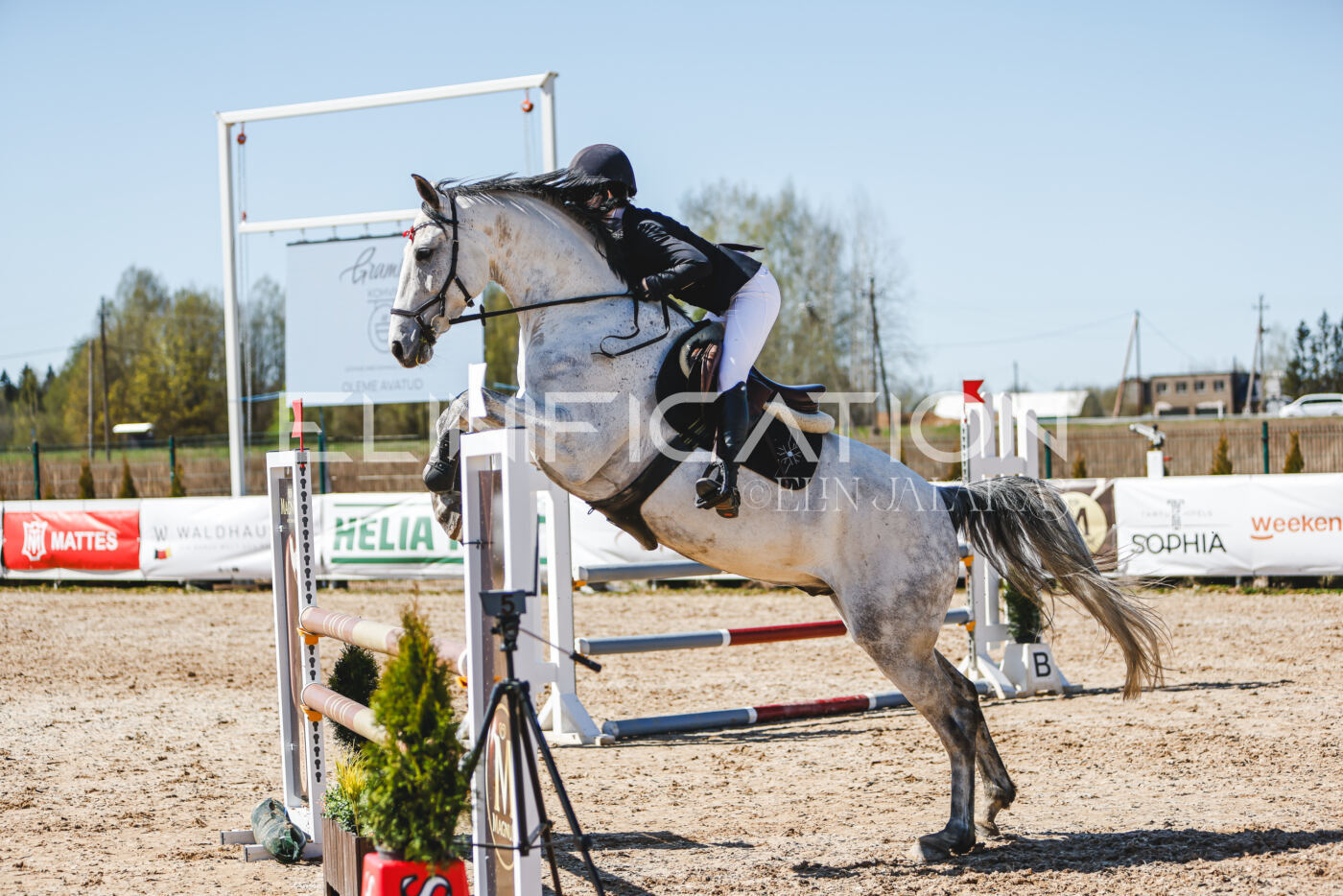 Gramina_Volber_2026_100_0556