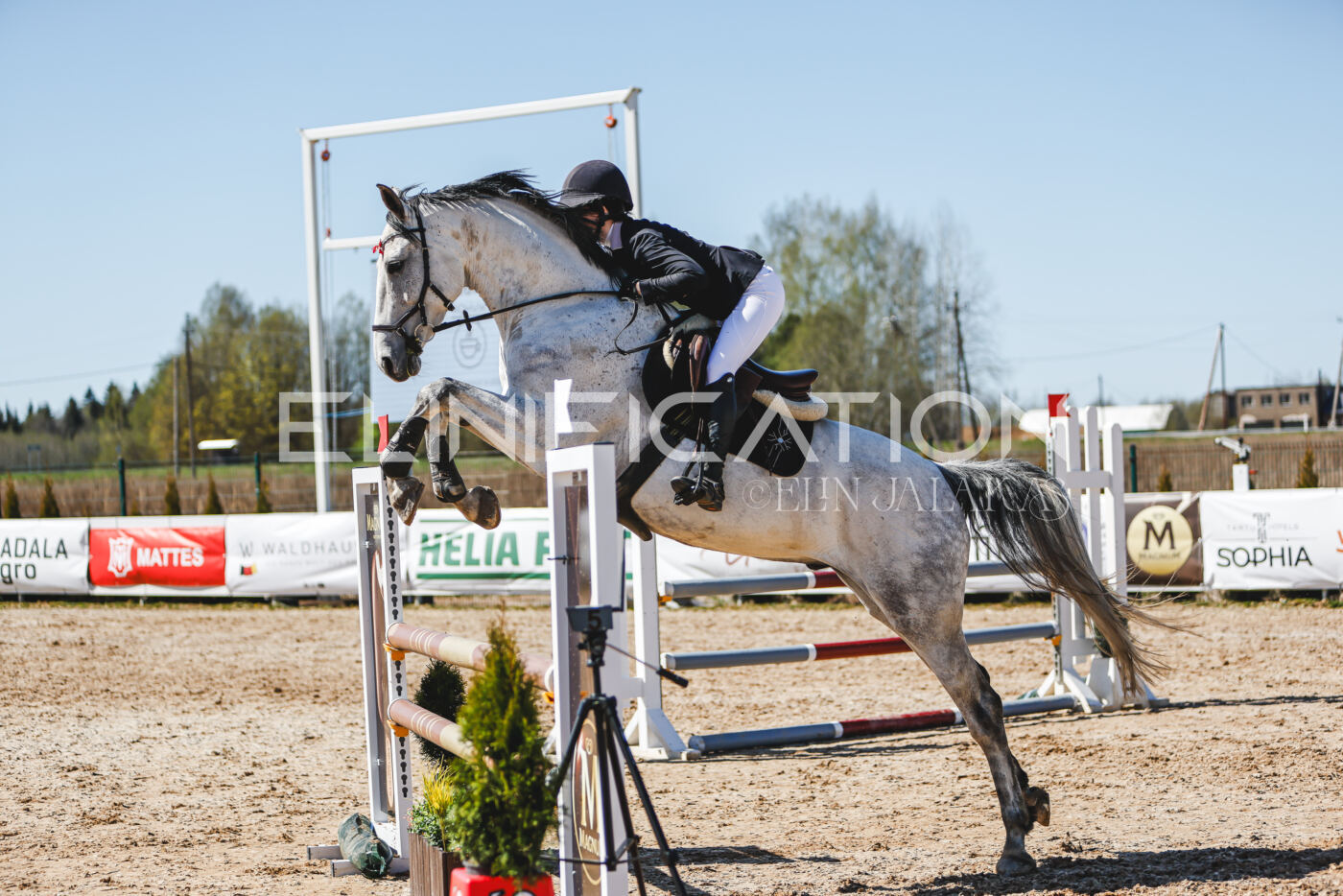 Gramina_Volber_2026_100_0557